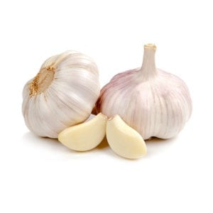 Garlic