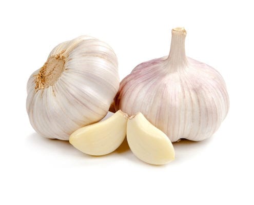 Garlic