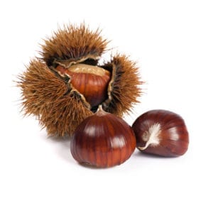 Castagne