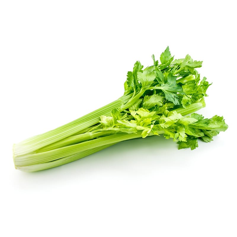 Celery