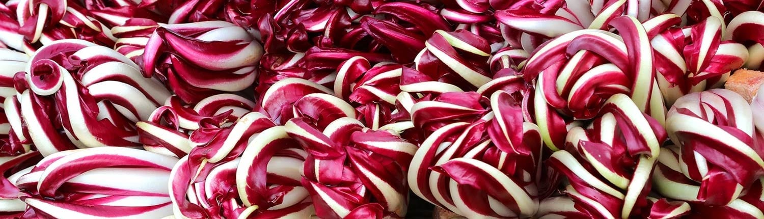 Radicchio