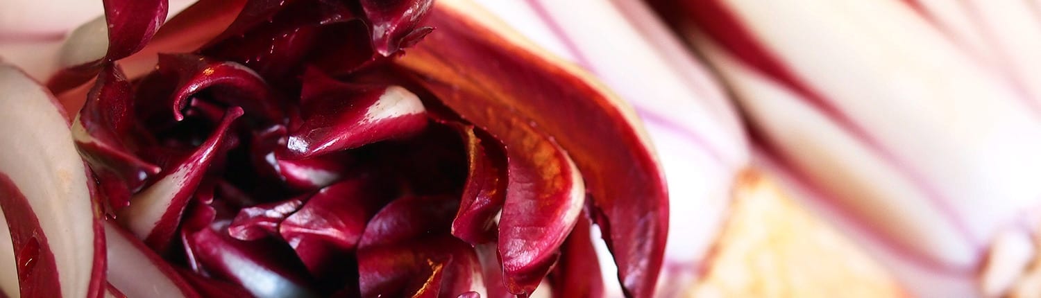 Radicchio