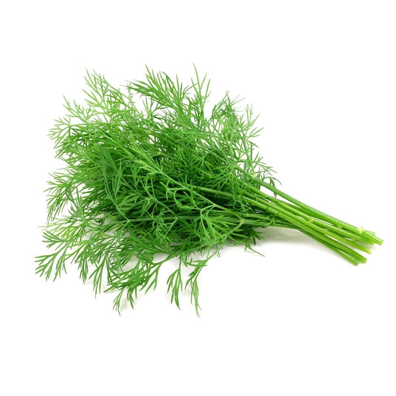 Dill