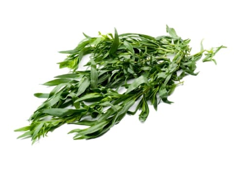 Tarragon