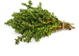 Thyme