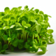 Limon Cress