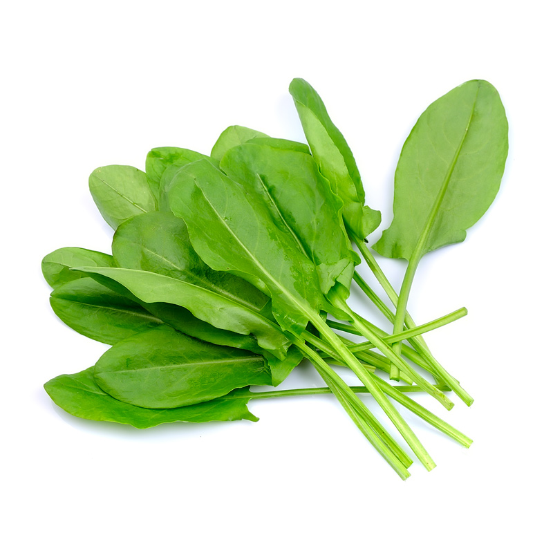 Acetosa verde