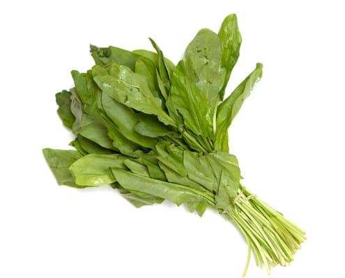 Acetosa verde