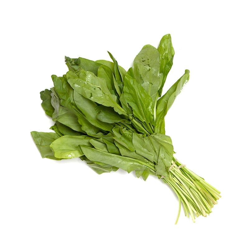 Acetosa verde