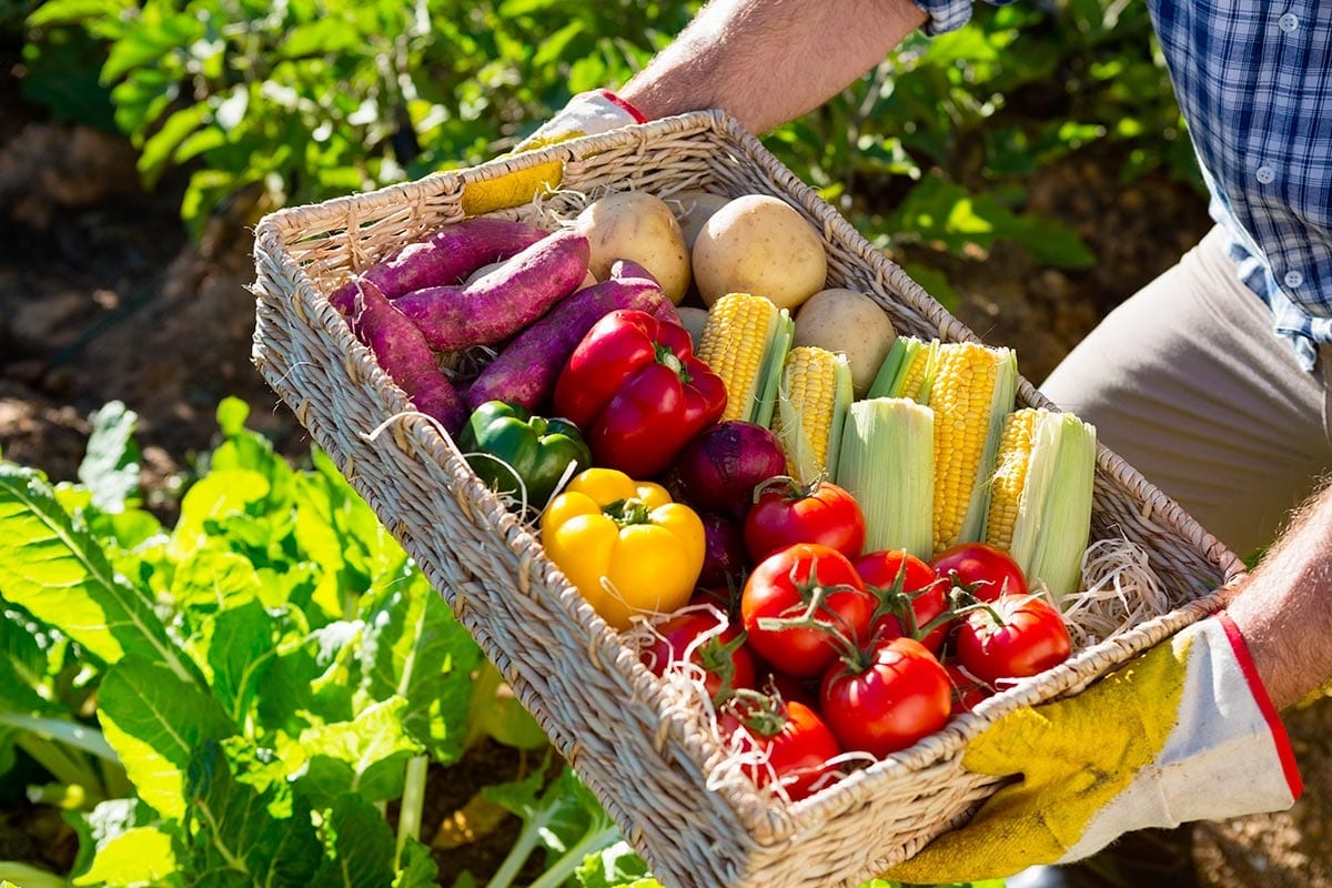 Perchè mangiare più frutta e verdura di stagione?
