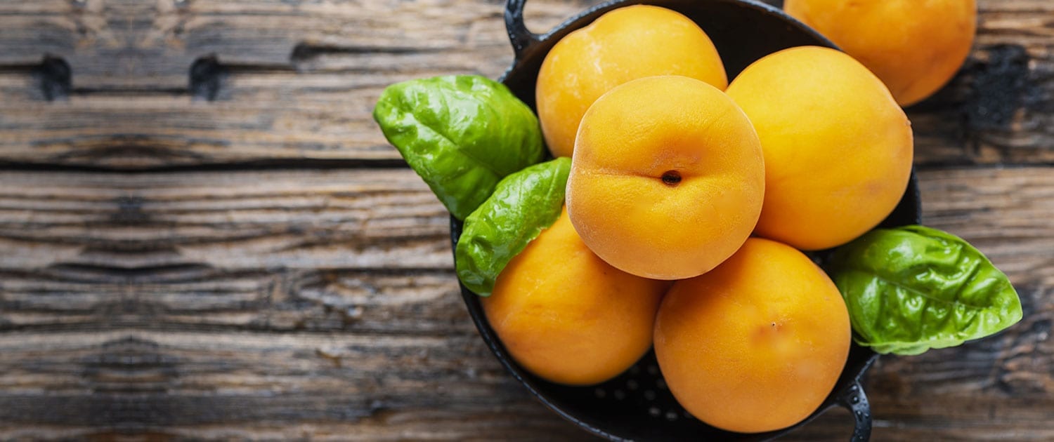 VegetAmo Passione OrtoFrutta Fratelli Brambilla Milano