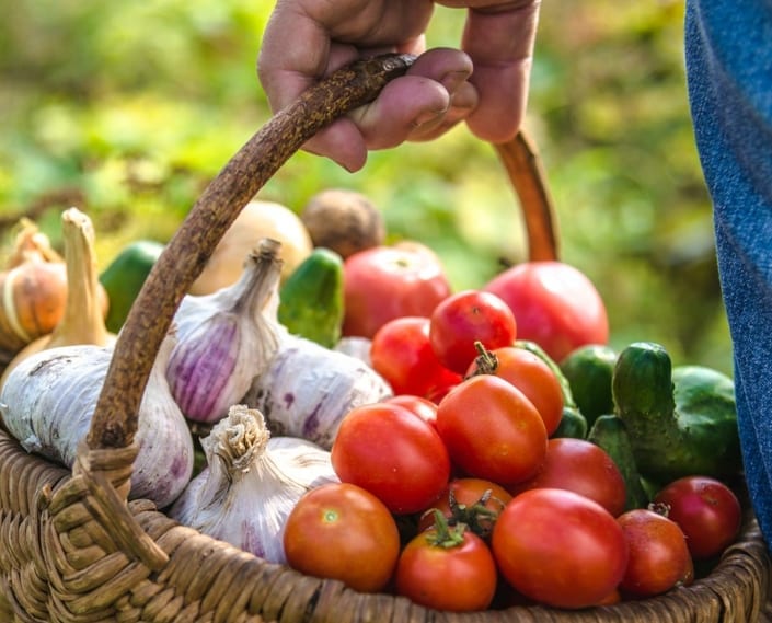 Sua maestà il pomodoro compagno insostituibile della nostra tavola mediterranea… e chiamala dieta