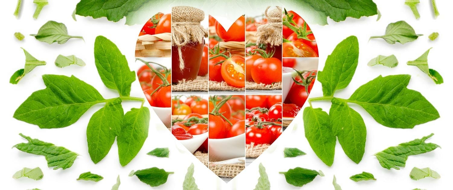 VegetAmo Passione OrtoFrutta F.lli Brambilla Milano