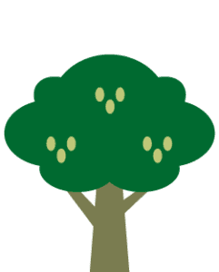Pianta un albero con Treedom… puoi regalarlo a chi vuoi