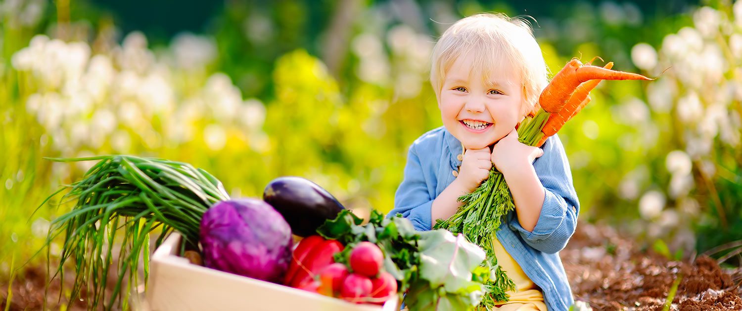 VegetAmo Passione OrtoFrutta F.lli Brambilla Milano