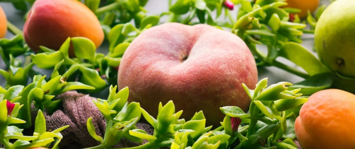 Giugno: La celebrazione dell'estate nei sapori e nei colori