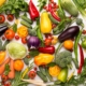 Luglio - Esplosione di sapori estivi