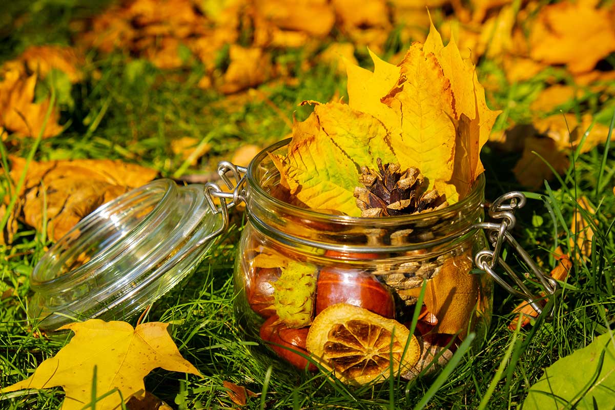 Ottobre - La tavolozza dei sapori autunnali