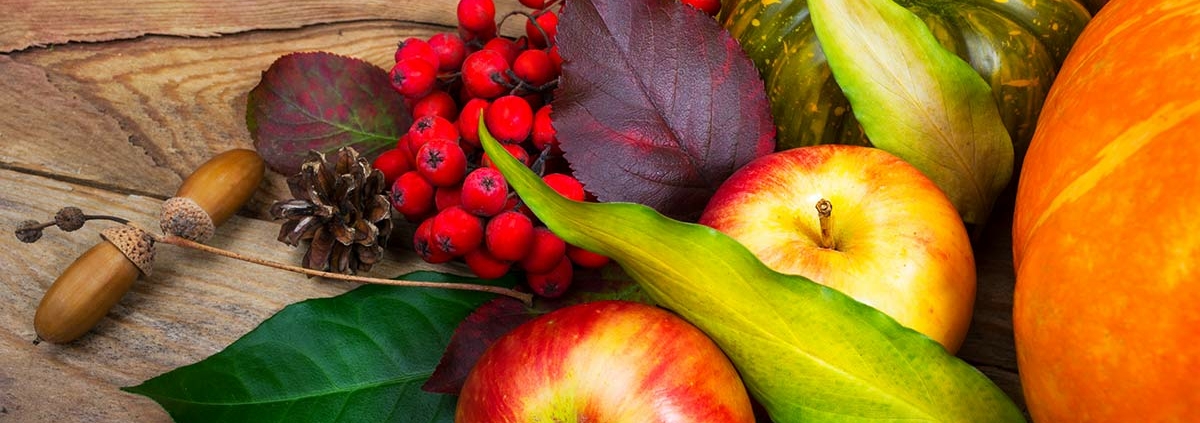 Settembre - La transizione verso l'autunno nei sapori e nei colori