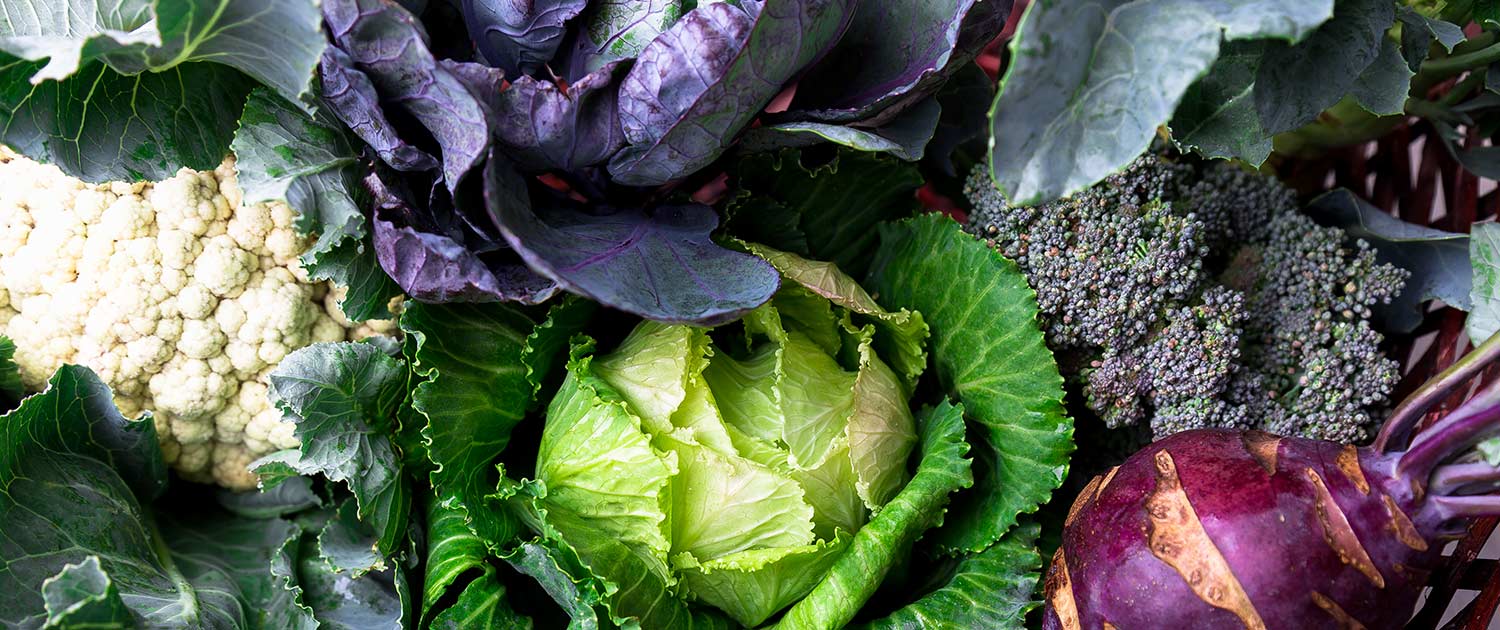 Gennaio - Un nuovo inizio con i sapori della stagione