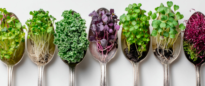 Erbe aromatiche rare e specialità botaniche per l'alta gastronomia